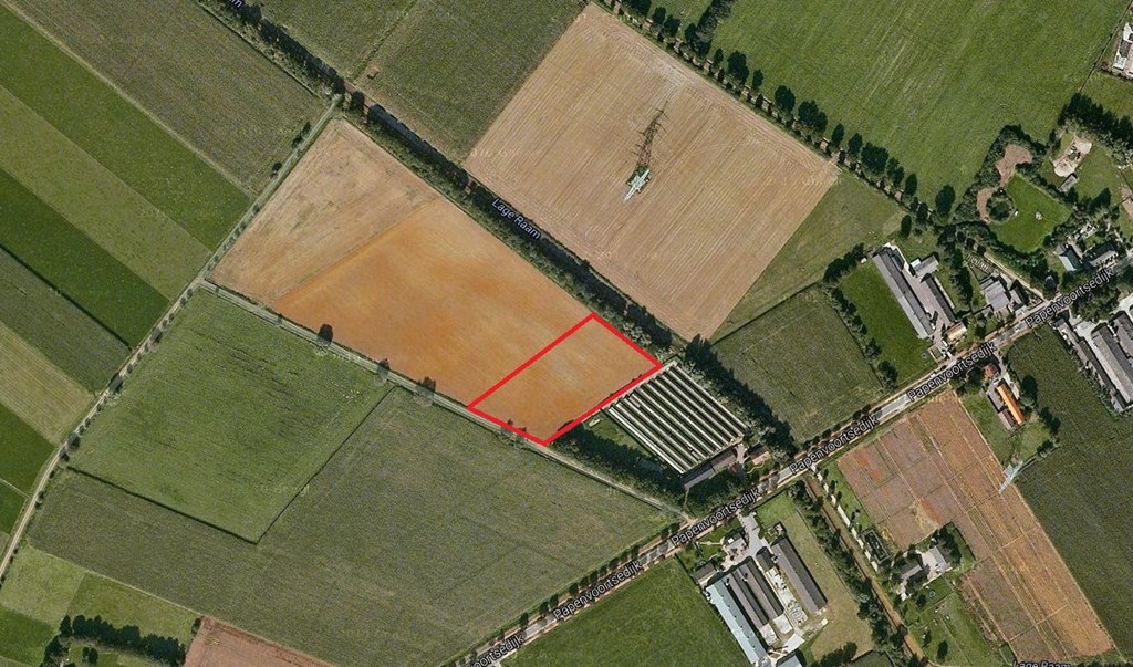 Te koop: Walsert, Rijkevoort-de Walsert rijkevoort-de walsert 1 hectare
